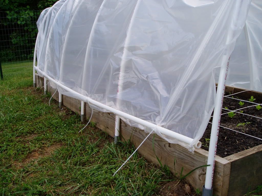 Homemade Polytunnels Page 2 SufficientSelf Creating a Sustainable